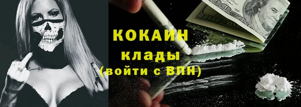 гидра Бронницы