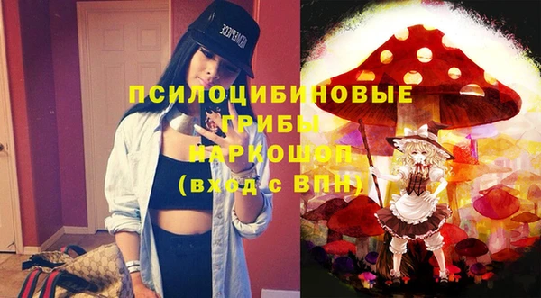 гидра Бронницы