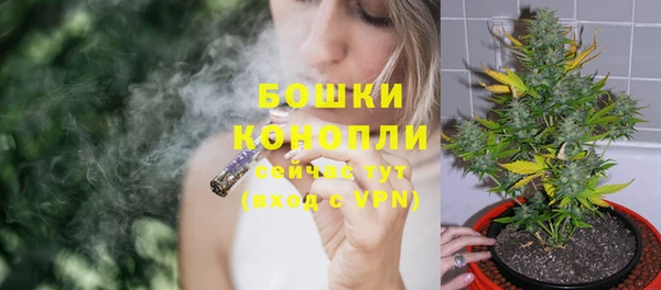 гидра Бронницы