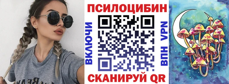 Псилоцибиновые грибы Psilocybine cubensis  Карталы 